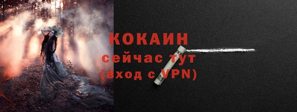 бошки Абаза