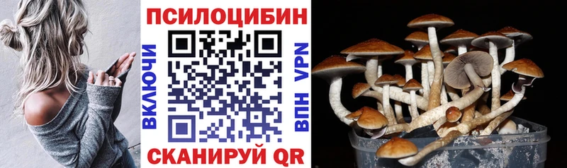 Псилоцибиновые грибы MAGIC MUSHROOMS Щёкино