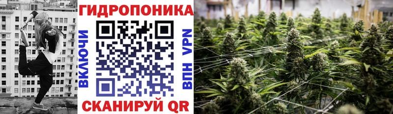Марихуана конопля  Щёкино 